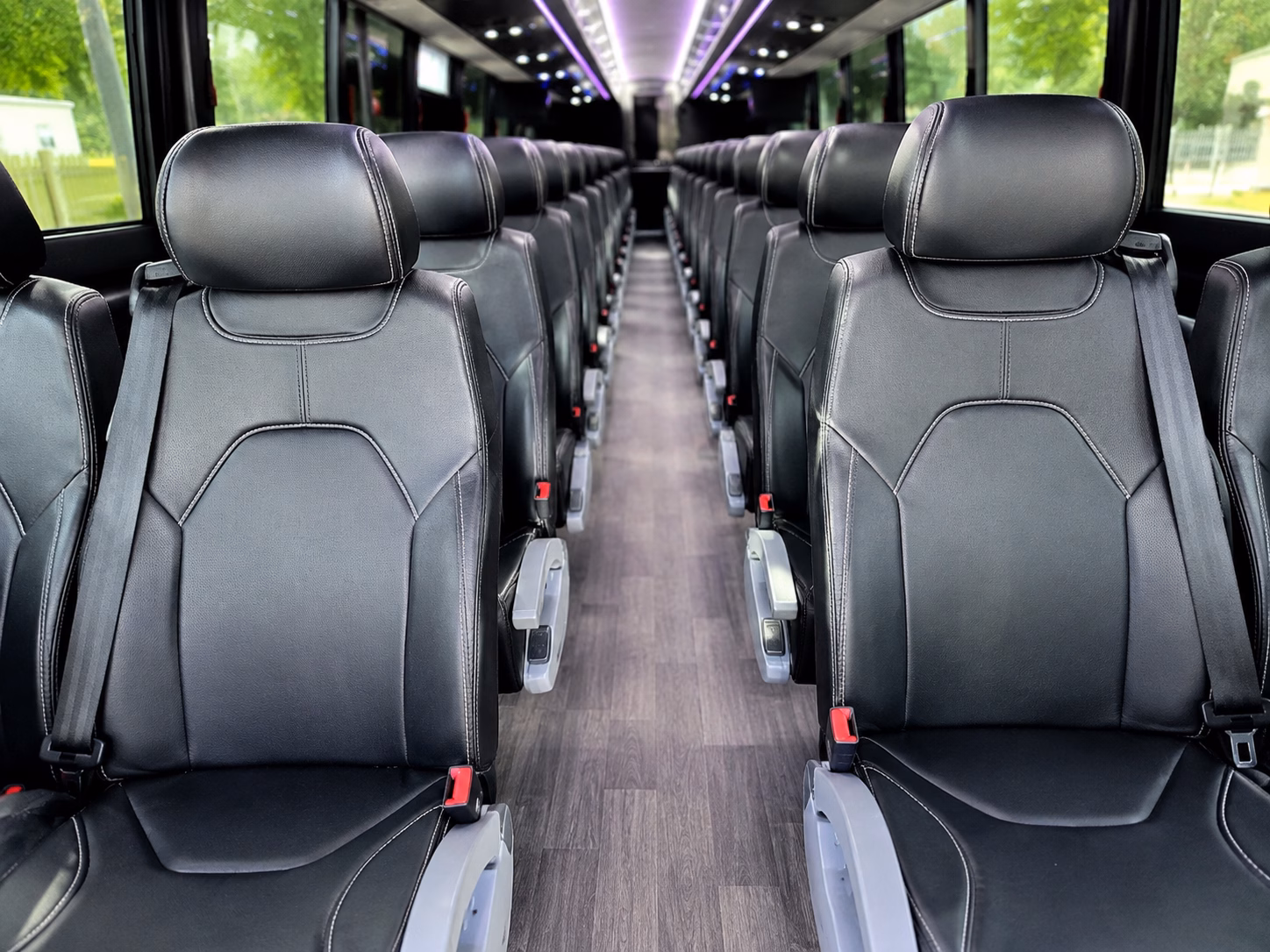 elizabeth attend elizabeth festivals with a charter bus rental